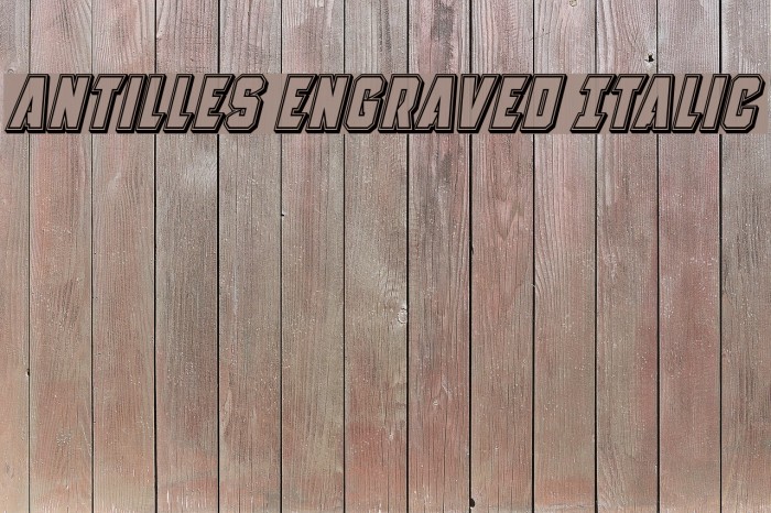 Antilles Engraved Italic Example 2