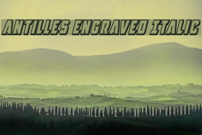 Antilles Engraved Italic Example 3