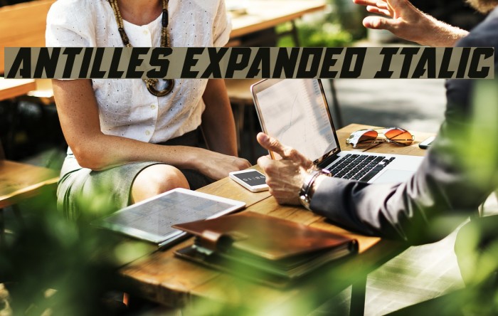 Antilles Expanded Italic Example 1