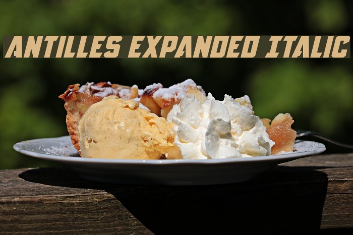 Antilles Expanded Italic Example 3