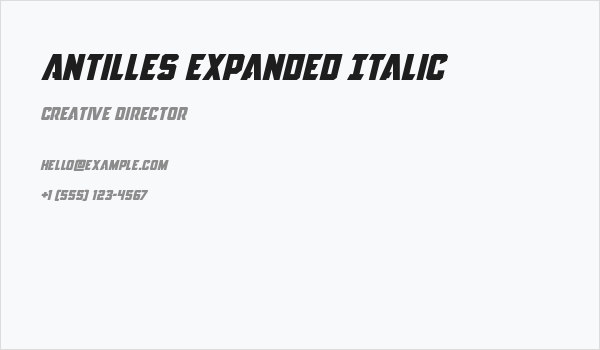 Antilles Expanded Italic Business Card