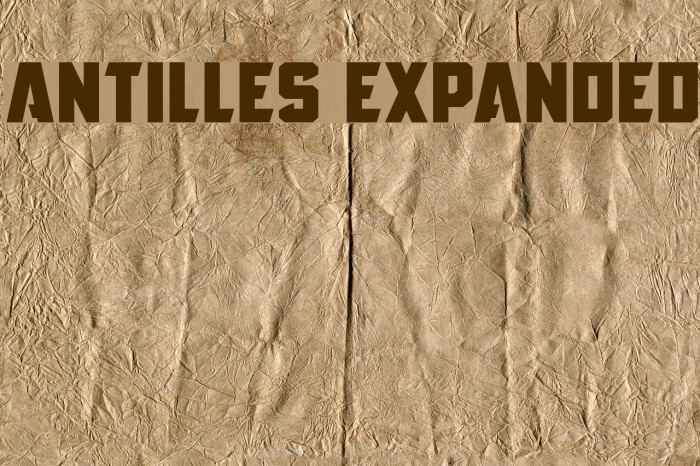 Antilles Expanded Font examples