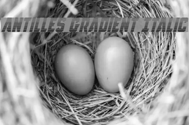 Antilles Gradient Italic Font examples