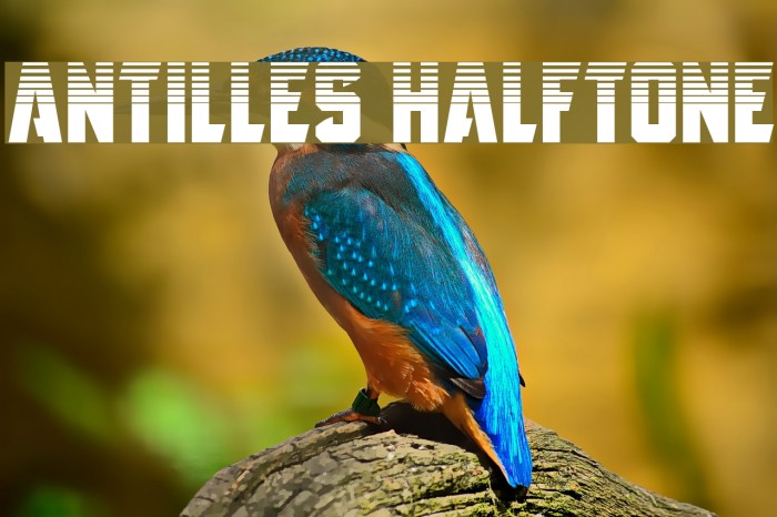 Antilles Halftone Font examples