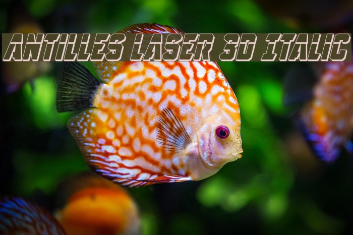 Antilles Laser 3D Italic Example 1