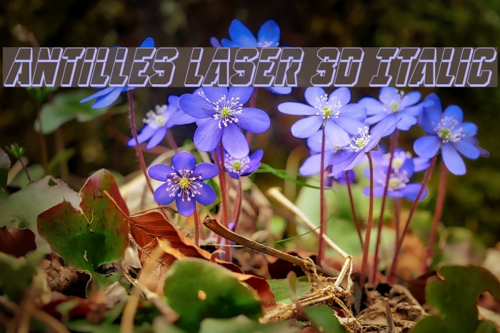 Antilles Laser 3D Italic Example 3