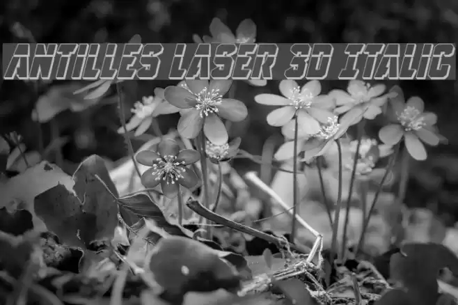 Antilles Laser 3D Italic Font examples