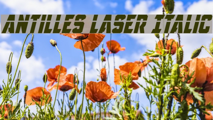 Antilles Laser Italic Example 1