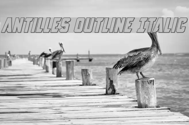 Antilles Outline Italic Font examples