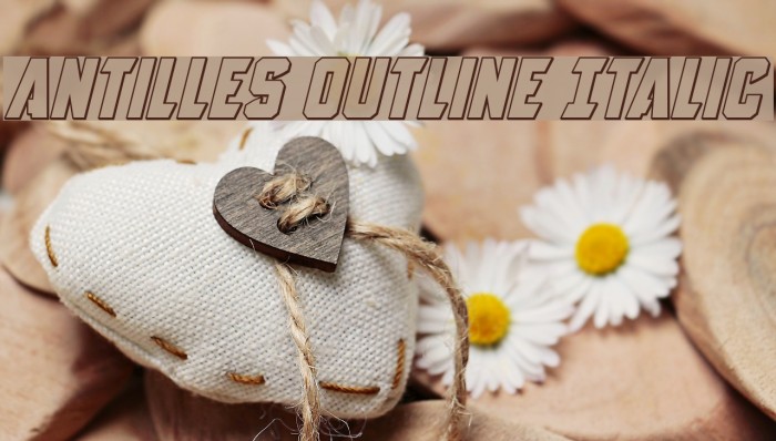Antilles Outline Italic Font examples