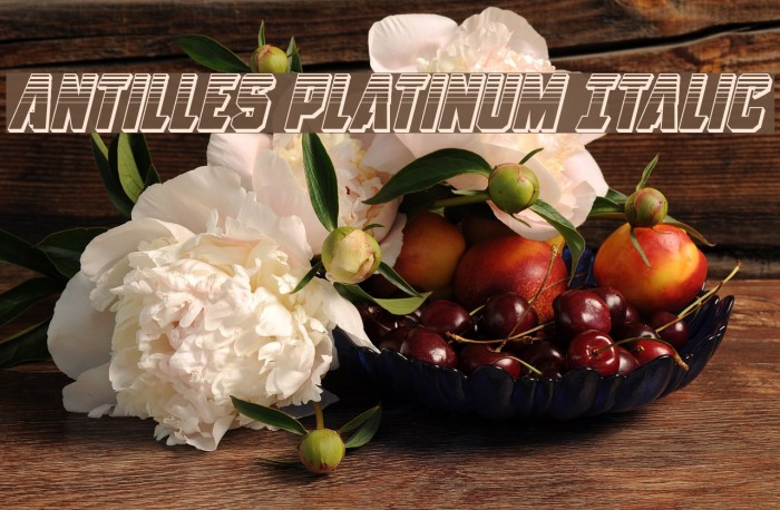 Antilles Platinum Italic Font examples