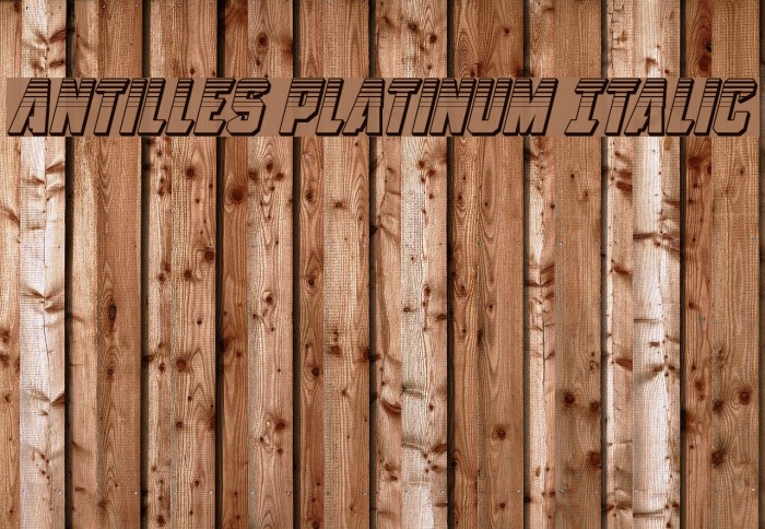Antilles Platinum Italic Font examples