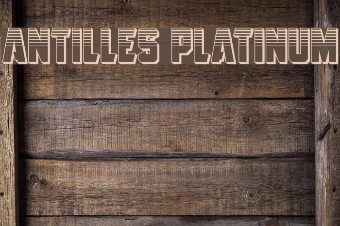 Antilles Platinum Font examples