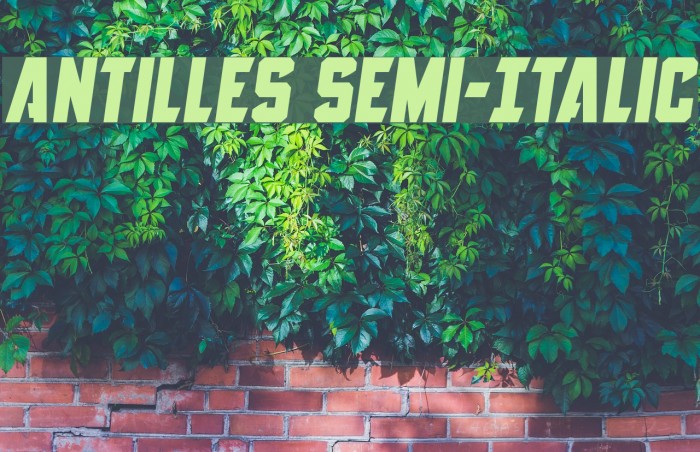Antilles Semi-Italic Font examples