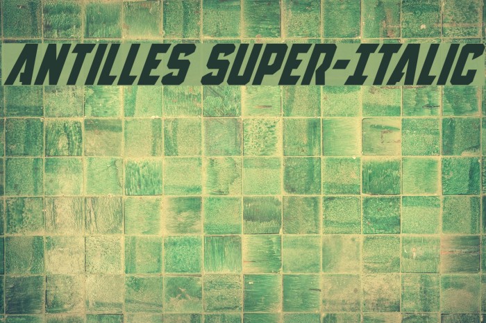 Antilles Super-Italic Font examples