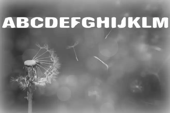 Antimony Funk Font examples