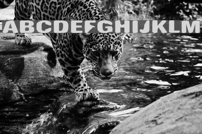 Antimony Funk Font examples