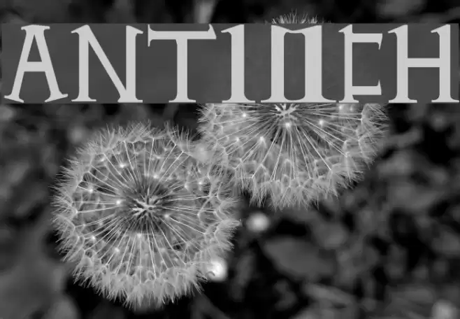 Antioch Font examples