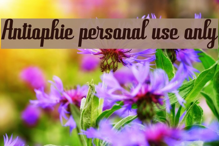 Antiophie personal use only Font examples