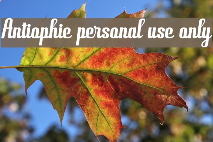 Antiophie personal use only Font examples