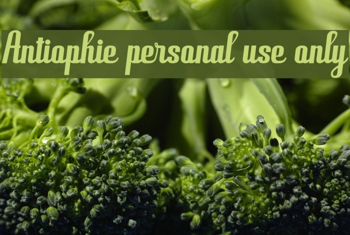 Antiophie personal use only Font examples