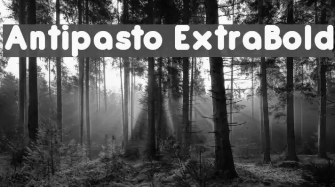 Antipasto ExtraBold  examples