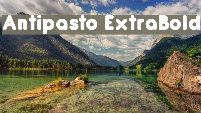 Antipasto ExtraBold Font examples