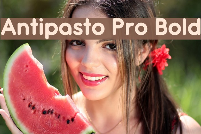 Antipasto Pro Bold Font examples