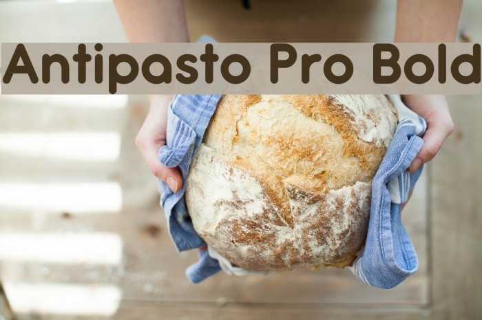 Antipasto Pro Bold Font examples