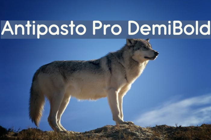 Antipasto Pro DemiBold Schriftart examples