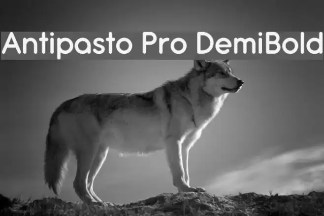Antipasto Pro DemiBold Font examples