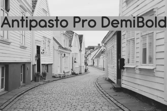 Antipasto Pro DemiBold Font examples
