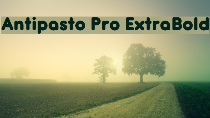 Antipasto Pro ExtraBold Font examples