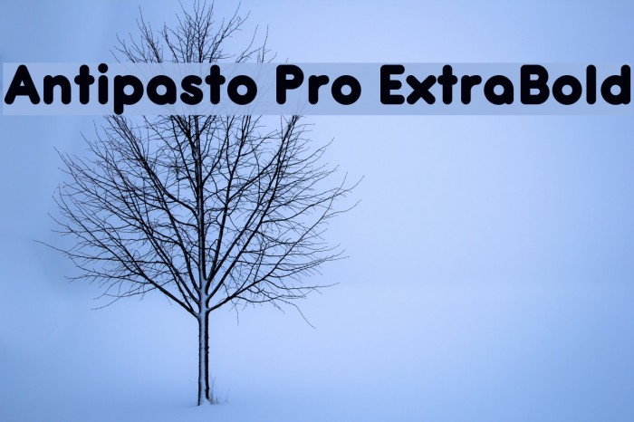 Antipasto Pro ExtraBold Font examples