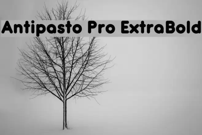 Antipasto Pro ExtraBold Font examples