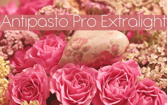 Antipasto Pro Extralight Font examples