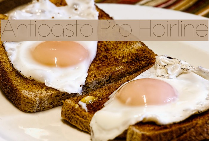 Antipasto Pro Hairline Font examples