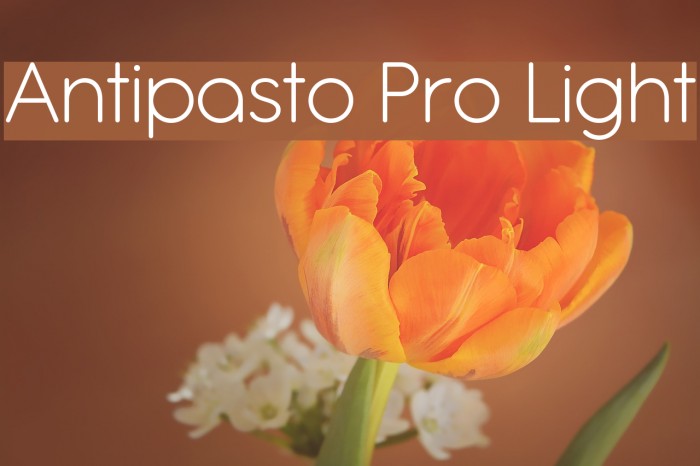 Antipasto Pro Light Font examples