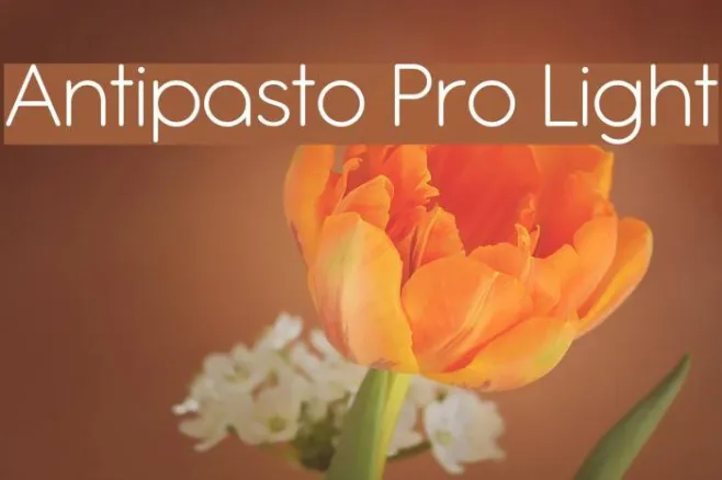 Antipasto Pro Light Example 2