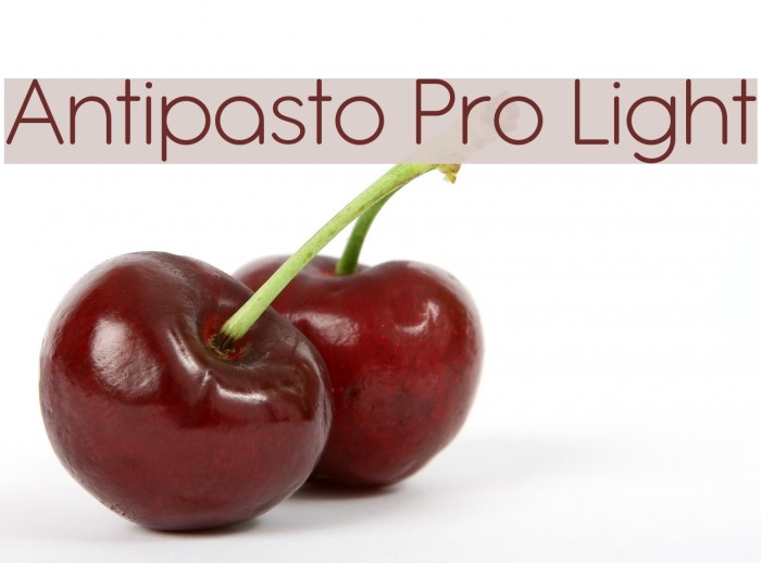 Antipasto Pro Light Font