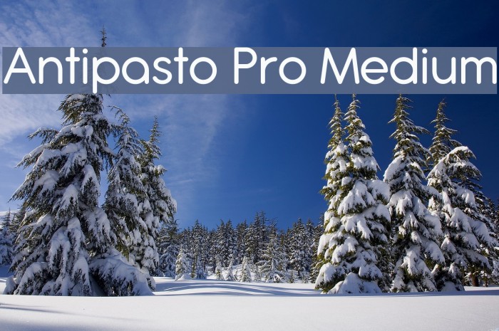 Antipasto Pro Medium Schriftart examples
