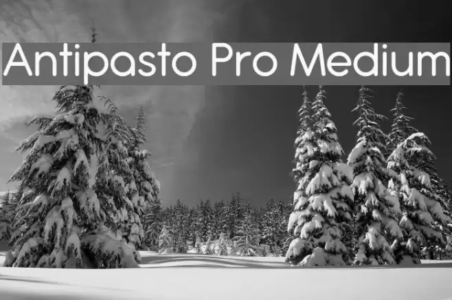 Antipasto Pro Medium Font examples