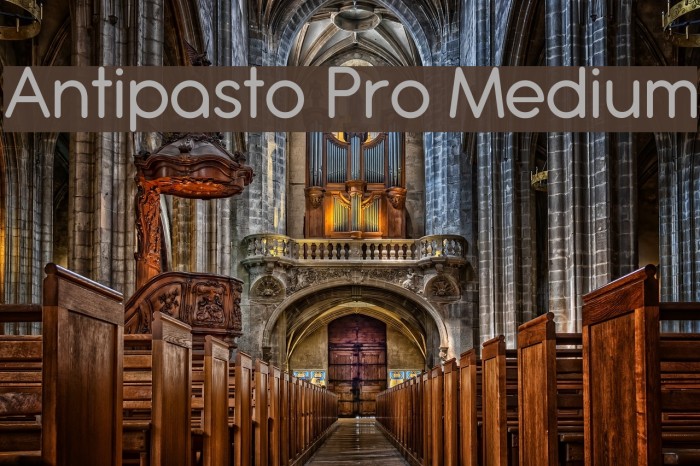 Antipasto Pro Medium Schriftart examples