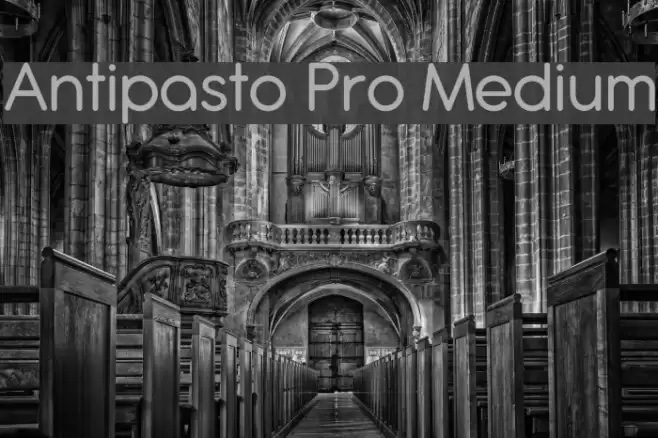 Antipasto Pro Medium Font examples