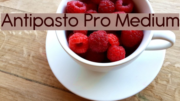 Antipasto Pro Medium Schriftart examples