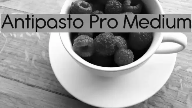 Antipasto Pro Medium Font examples