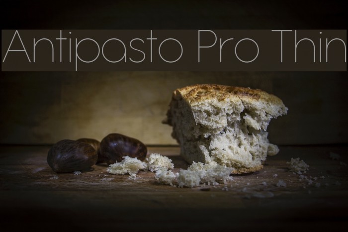 Antipasto Pro Thin Font examples
