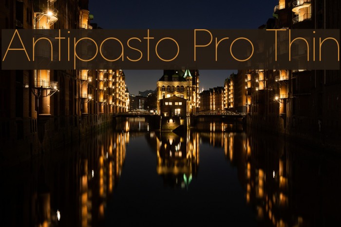 Antipasto Pro Thin Font examples