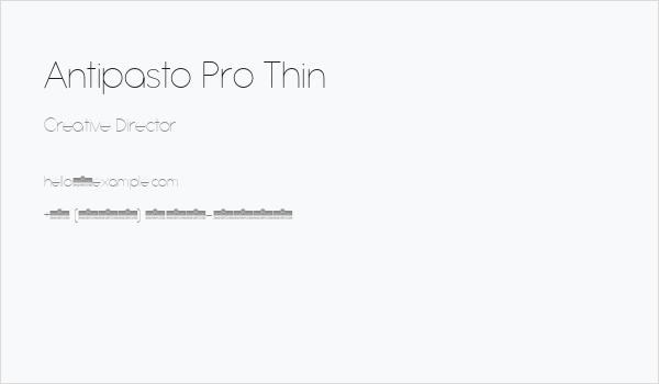 Antipasto Pro Thin Business Card
