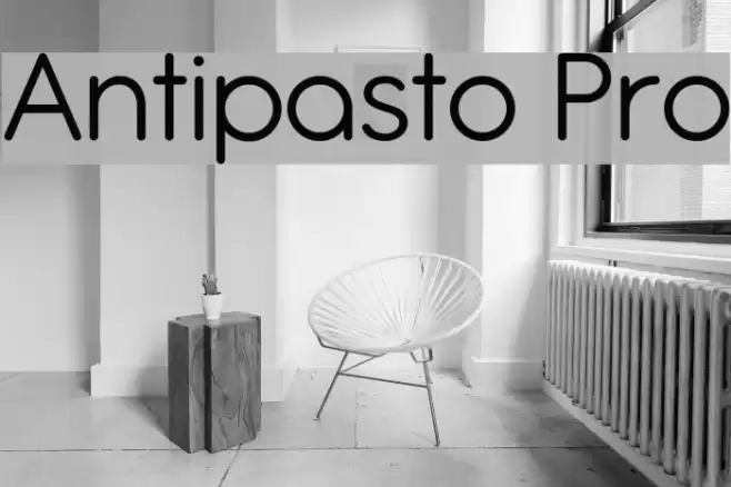 Antipasto Pro Font examples